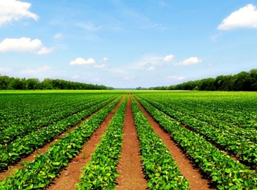 ????????????????????????????????????